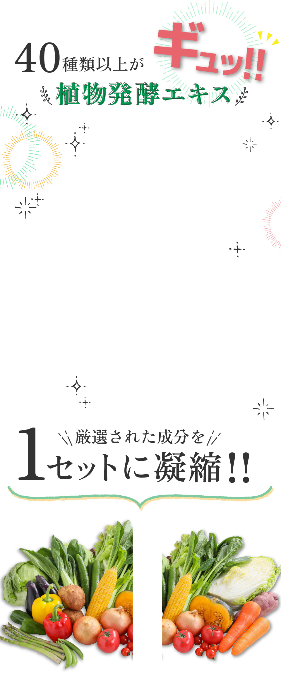 40種類以上がギュ！！植物発酵エキス