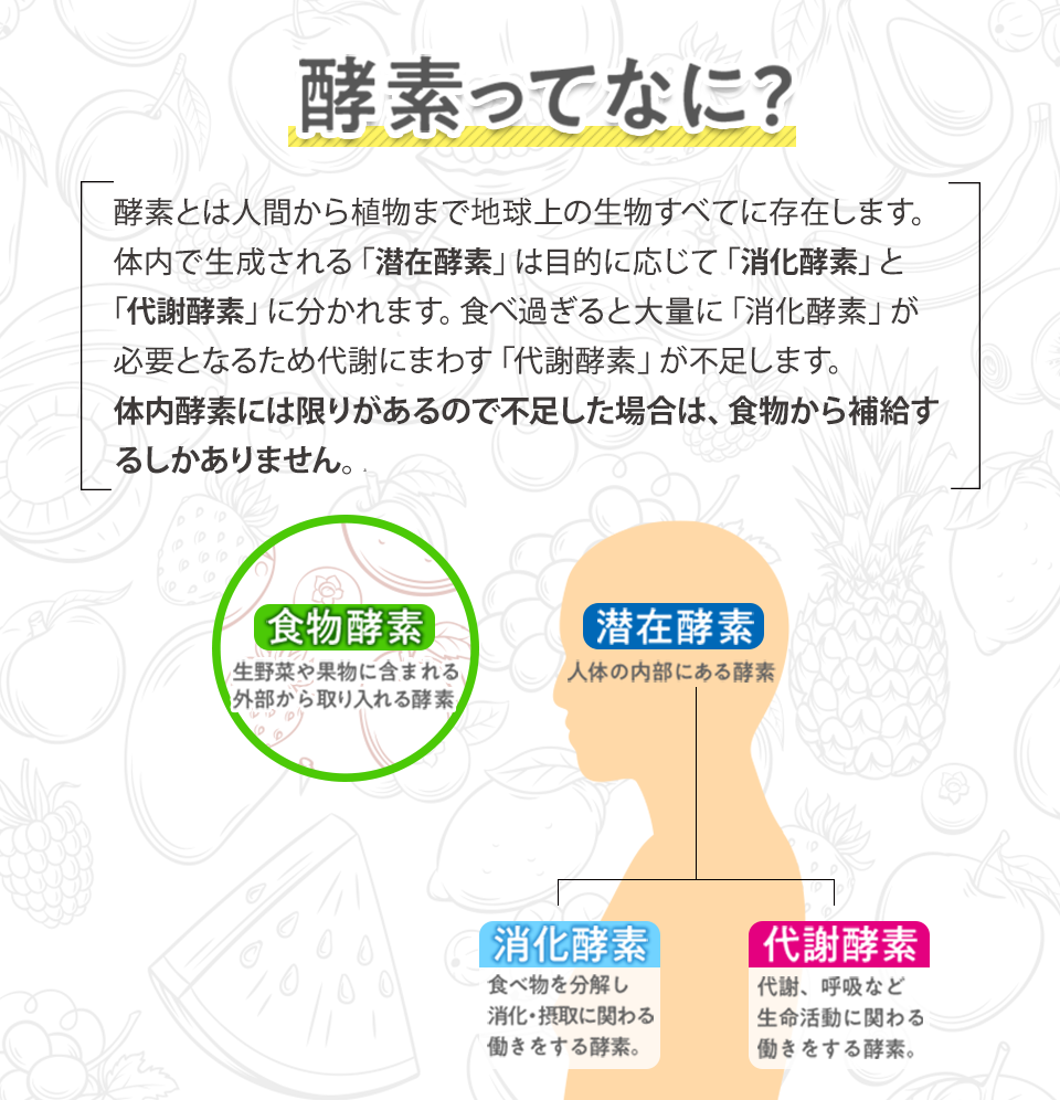 酵素ってなに？